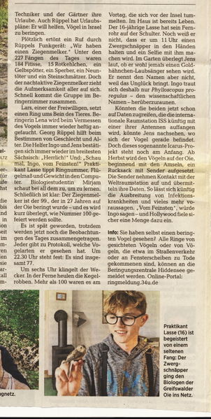 Datei:2020 Insel Oie 3.jpg