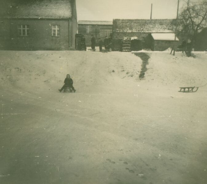 Datei:Schlittenfahrt auf dem Eis.jpg