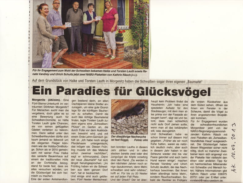 Datei:2013 Schwalben.jpg