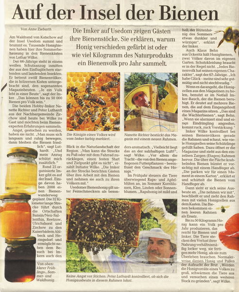 Datei:2014 Bienen 2.jpg