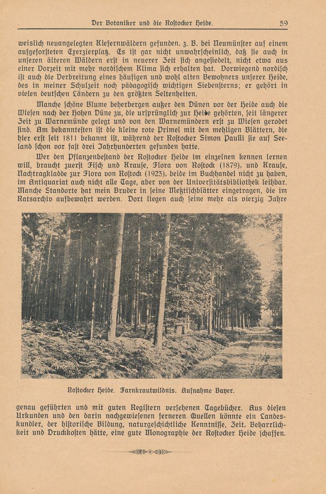 RH Schuh Geologisches aus der nördöstlichen Heide 53