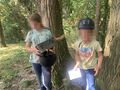 Vorschaubild der Version vom 27. Oktober 2024, 19:58 Uhr