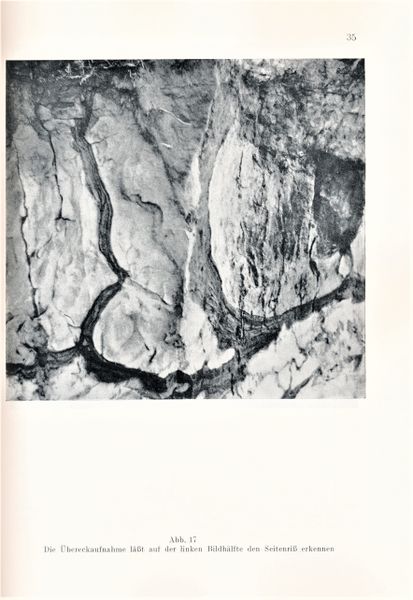 Datei:Kolp Nordöstliche Heide 0035.jpg