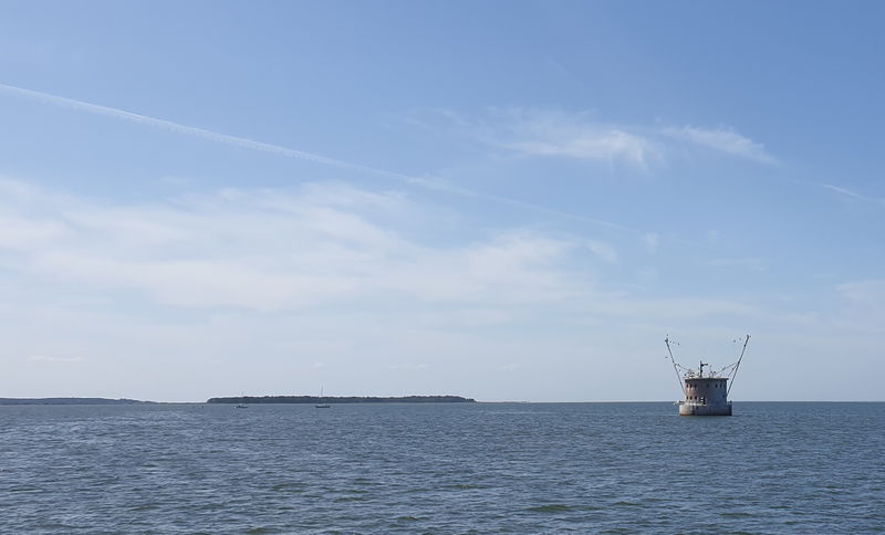 Datei:Greifswalder Oie 04.jpg