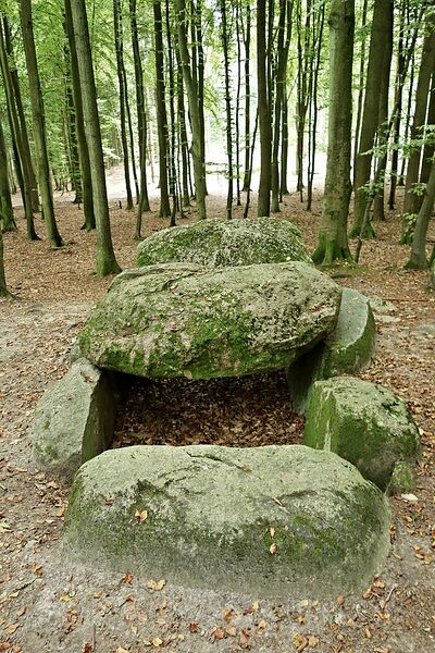Datei:Hünengräber Sassnitz Waldhalle 1 3.jpg