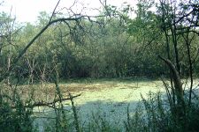 Lenzen-KA Dobbertin 903 (2002).jpg