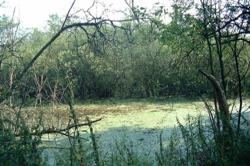 Datei:Lenzen-KA Dobbertin 903 (2002).jpg