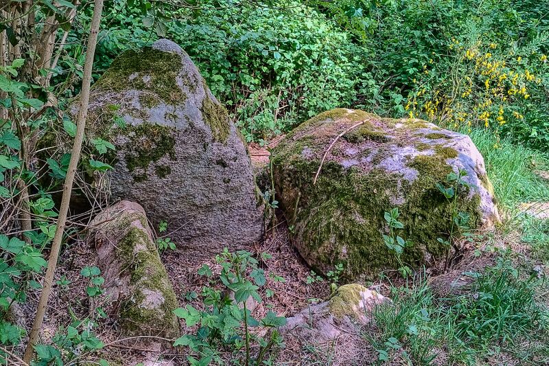 Datei:Hünengräber Wendhof 2.jpg
