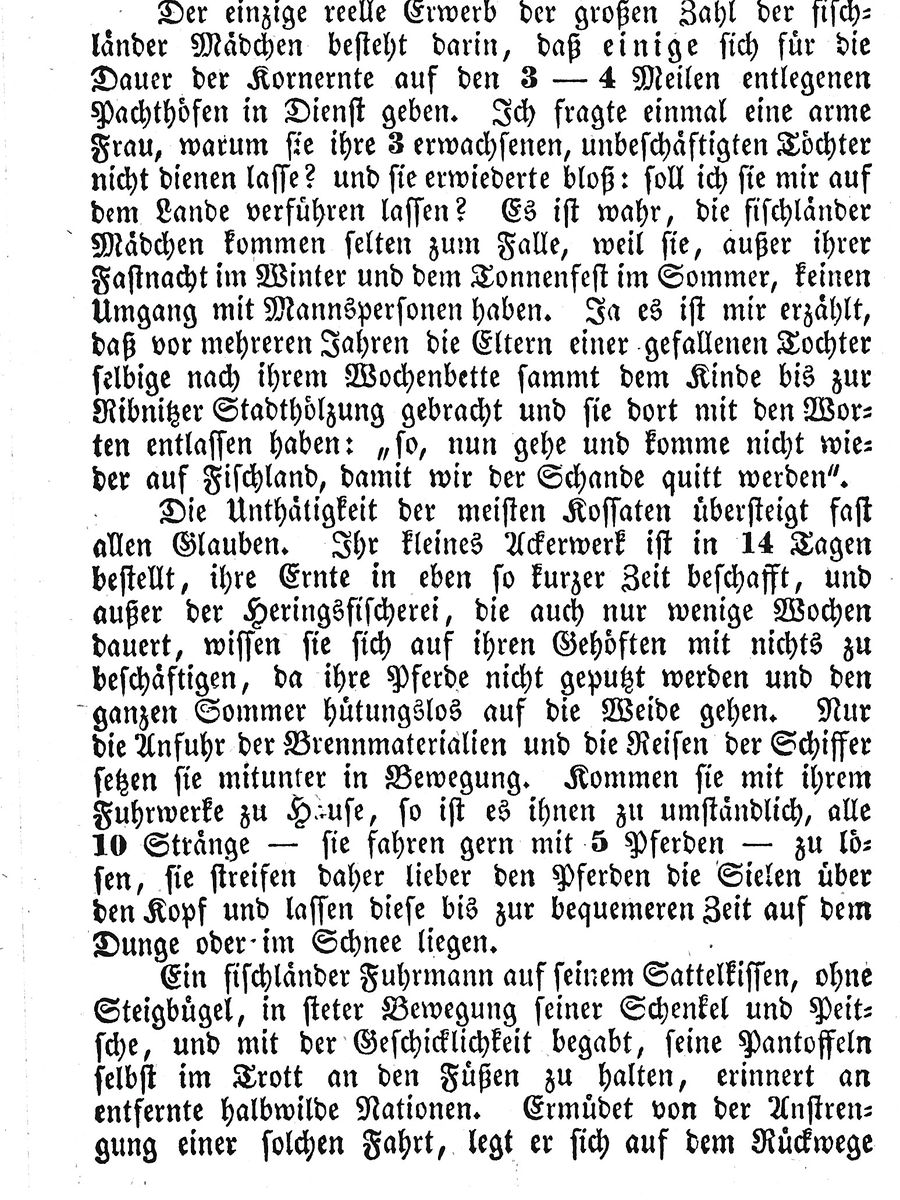 Halbins Fischl 1832 13