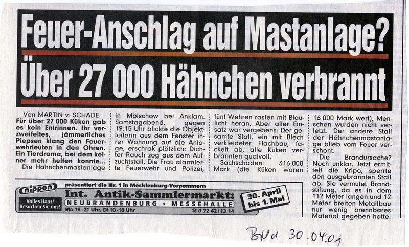 Datei:2001 Kücken Brand Bild.jpg
