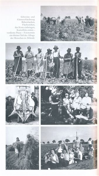 Datei:Alth 126.jpg