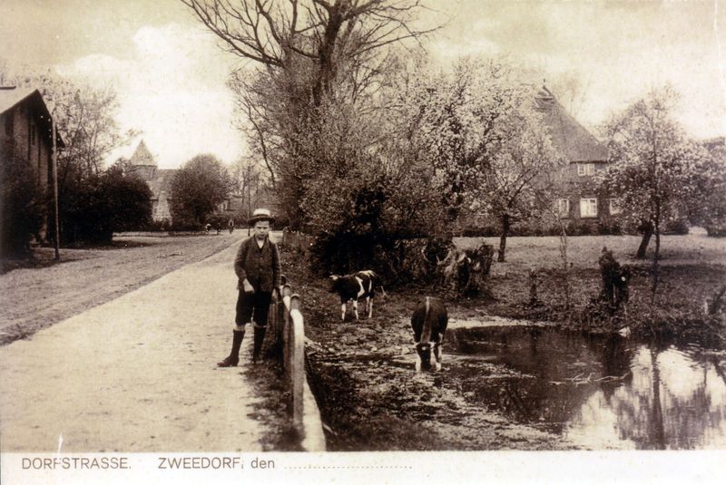 Datei:Zweedorf Dorfstraße.jpg