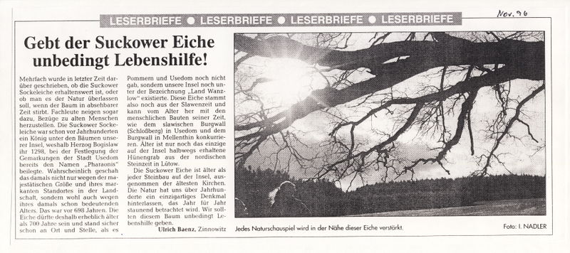 Datei:1996 Eiche Baenz.jpg