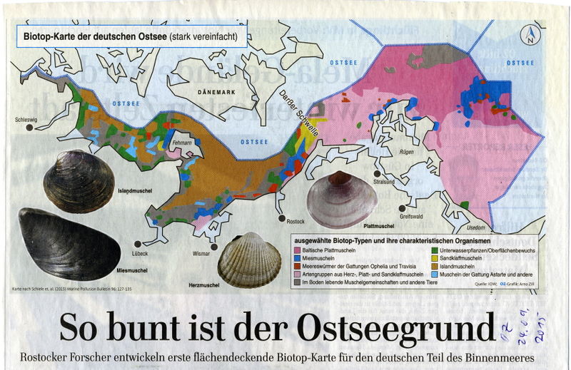 Datei:2015 Ostsee Biotop a.jpg