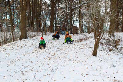 Bömitz Rodeln auf auf dem Backofenberg.jpg