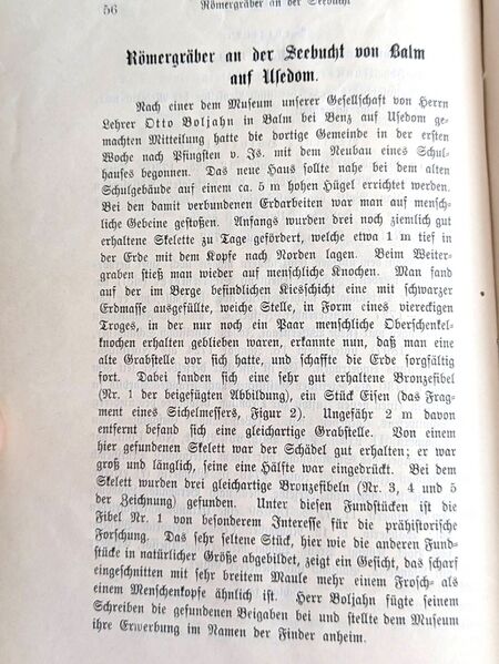 Datei:Balm 1.jpg
