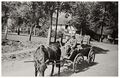 Goldenbow Kastenwagen.jpg