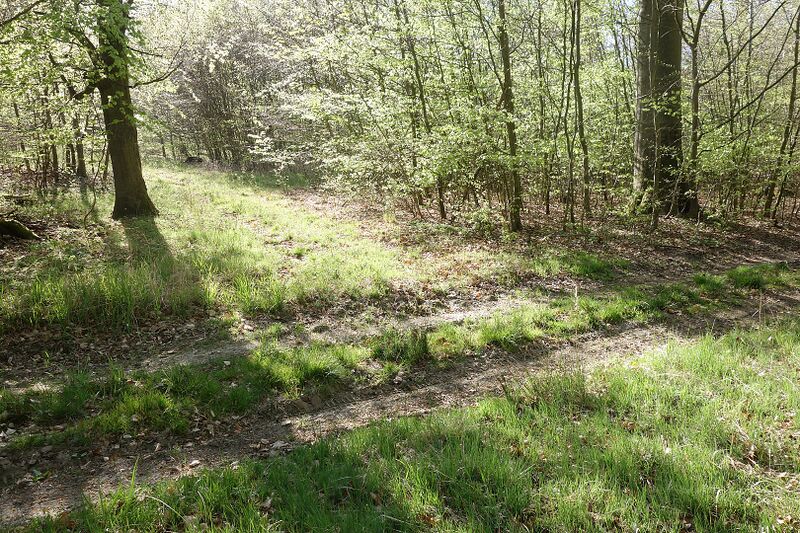 Datei:Hünengräber Zernin 5.jpg