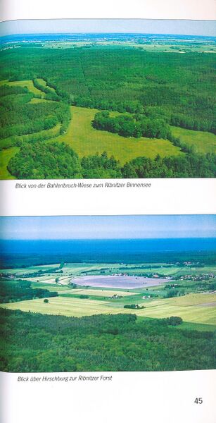 Datei:ML Gelbensander Forst 45.jpg