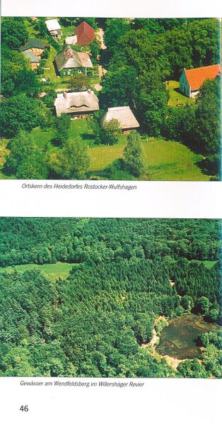 Datei:ML Gelbensander Forst 46.jpg