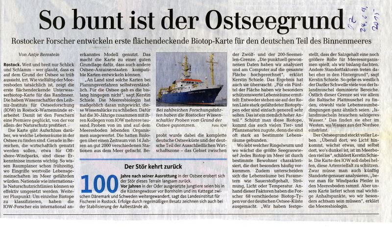 Datei:2015 Ostsee Biotop b.jpg