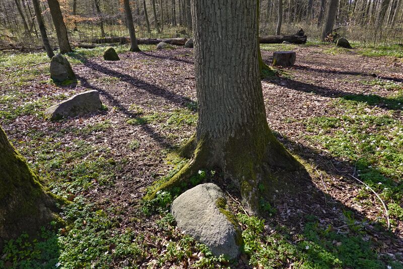 Datei:Hünengräber Kükenshagen 2.jpg