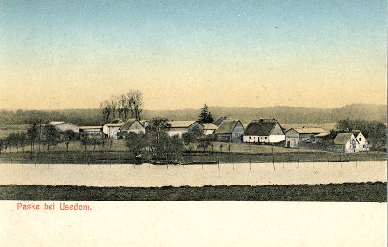 Datei:Paske farbig.jpg