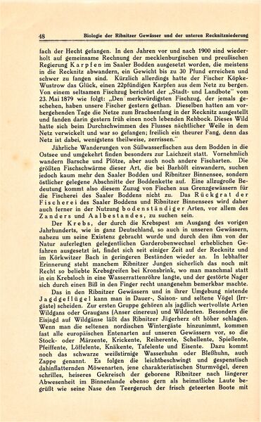 Datei:Ribnitz Kühl 048.jpg