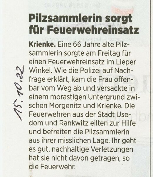 Datei:2022 Krienke Pilze.jpg