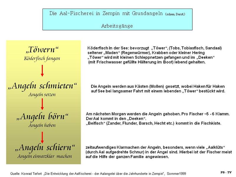 Datei:Aalschema 02.jpg