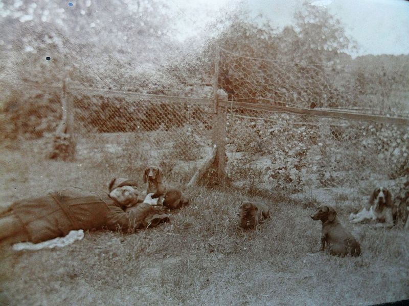 Datei:Trassenmmor 11.jpg