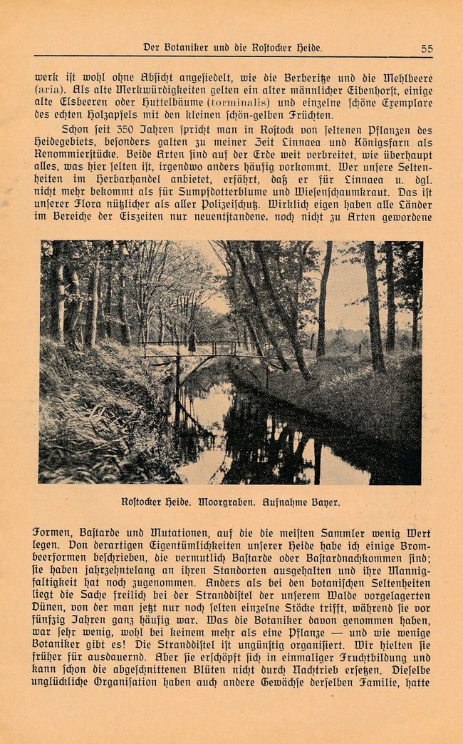 RH Schuh Geologisches aus der nördöstlichen Heide 48