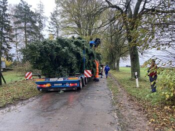 Bömitz Weihnachtsbaum 3.jpg