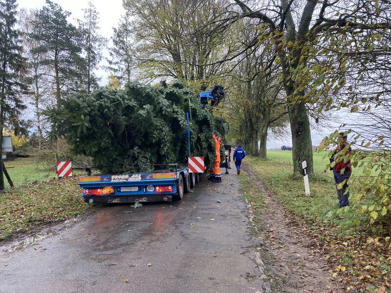 Datei:Bömitz Weihnachtsbaum 3.jpg