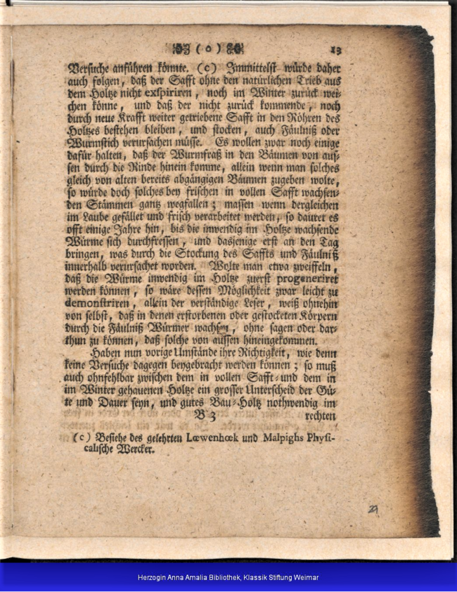 "Einige Gedanken über Wadel- oder Wahl-Zeit beim Holzfällen" 1744 13