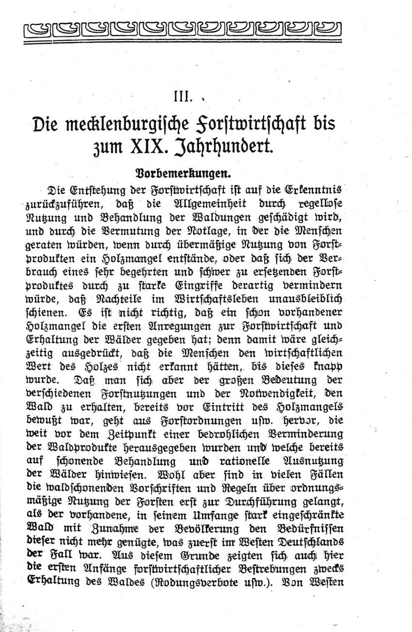 1921 Parchmann Meckl Forstw 059