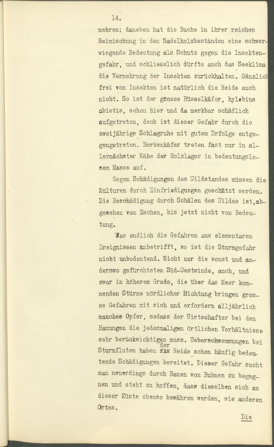 Max Garthe Allg. Beschreibung der Rostocker Stadtforst 1911 14
