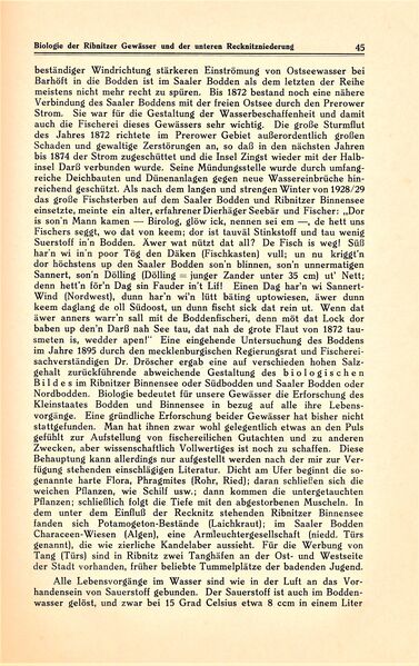 Datei:Ribnitz Kühl 045.jpg