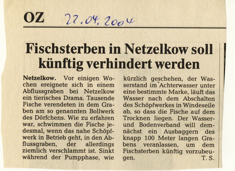 Datei:2004 Netzelkow Fische.jpg