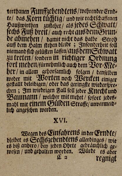 Datei:Dob1317.jpg