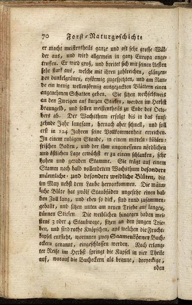 Datei:Fiedler Handbuch Forstwirtschaft 1796-079.jpg