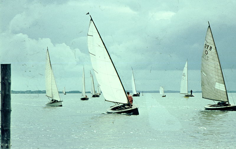 Datei:Regatta 4.jpg
