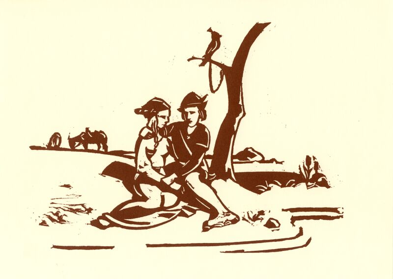 Datei:04 Singschwan.jpg