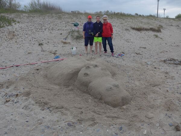 Boergerende-Rethwisch-05-2022-Strandkrabben.JPG