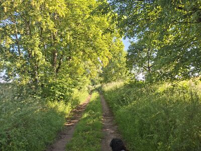 Impressionen 06