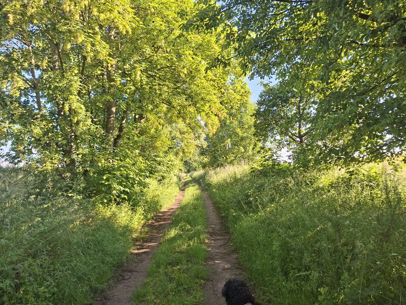 Datei:Eickelberg-Allee 1.jpg