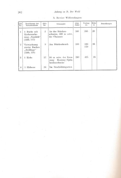 Datei:Kolp Nordöstliche Heide 0262.jpg