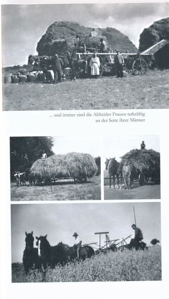 Datei:Alth 125.jpg