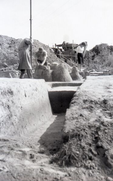 Datei:Ausgrabungsarbeiten Bronzekegel Proseken.jpg