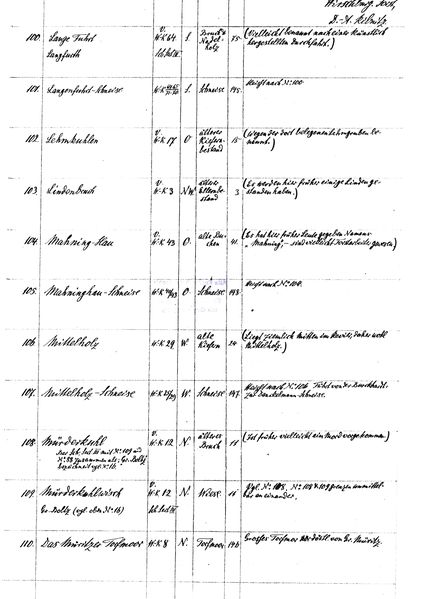 Datei:F Hirschb FL 11.jpg